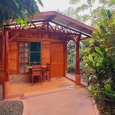 Jardin Entre Montanas Bed & Breakfast Bijagua Exterior photo