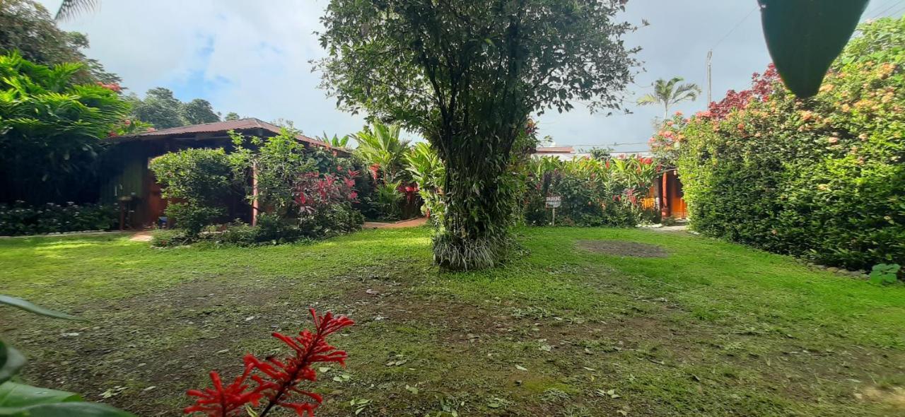 Jardin Entre Montanas Bed & Breakfast Bijagua Exterior photo