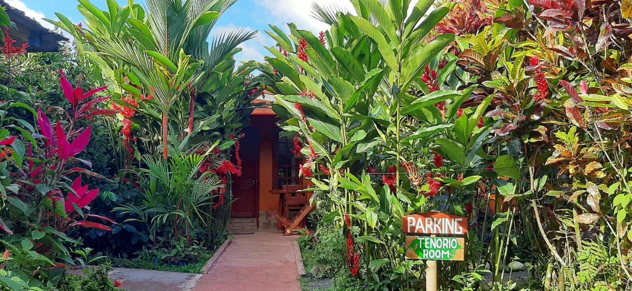 Jardin Entre Montanas Bed & Breakfast Bijagua Exterior photo
