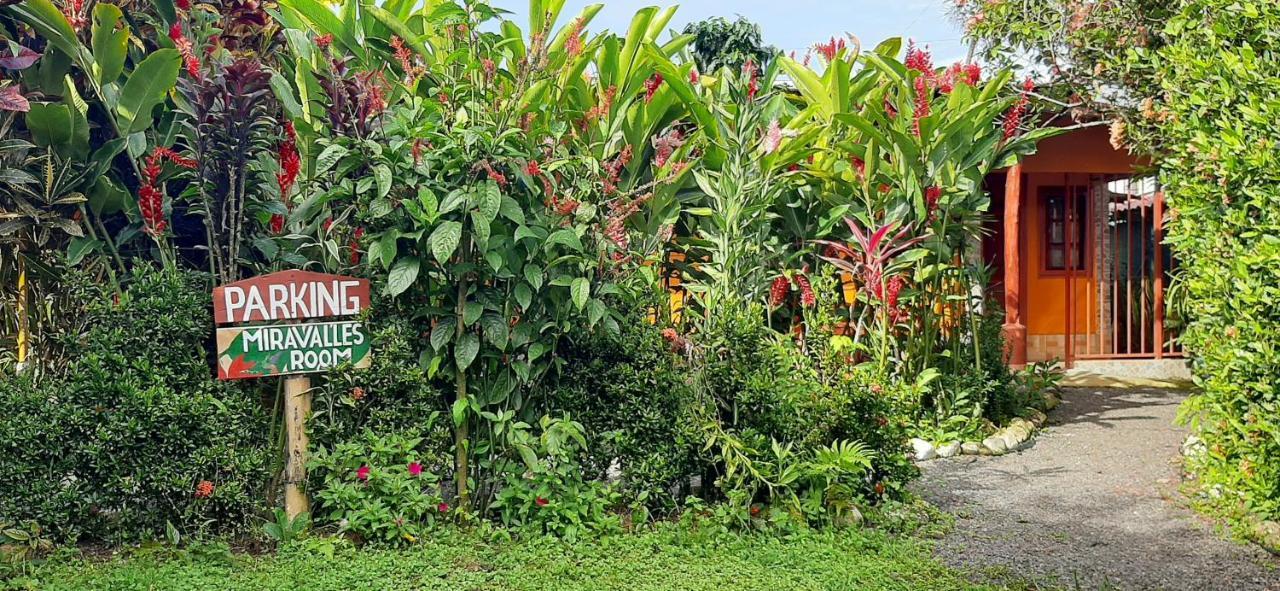 Jardin Entre Montanas Bed & Breakfast Bijagua Exterior photo