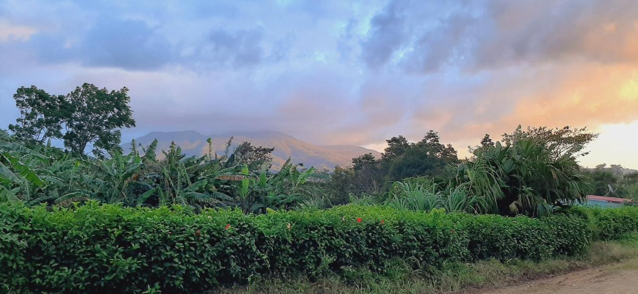 Jardin Entre Montanas Bed & Breakfast Bijagua Exterior photo