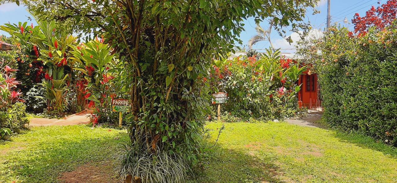 Jardin Entre Montanas Bed & Breakfast Bijagua Exterior photo