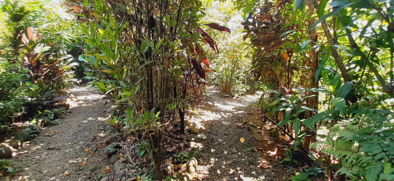 Jardin Entre Montanas Bed & Breakfast Bijagua Exterior photo